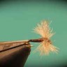 CDC Biot Trico Spinner